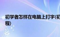 初学者怎样在电脑上打字(初学者怎样在电脑上打字 入门教程)