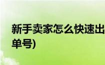 新手卖家怎么快速出单(新手卖家怎么快速出单号)