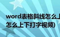 word表格斜线怎么上下打字(word表格斜线怎么上下打字视频)
