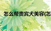 怎么帮贵宾犬美容(怎么帮贵宾犬美容护肤)