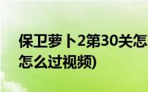 保卫萝卜2第30关怎么过(保卫萝卜2第30关怎么过视频)