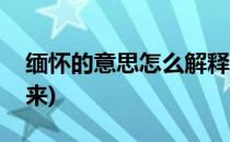 缅怀的意思怎么解释(缅怀的意思怎么解释出来)