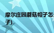 摩尔庄园蘑菇帽子怎么获得(摩尔庄园 蘑菇帽子)