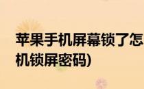苹果手机屏幕锁了怎么解除(怎么解开苹果手机锁屏密码)