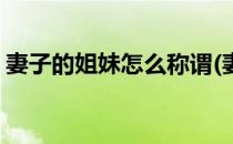 妻子的姐妹怎么称谓(妻子的姐妹怎么称谓她)
