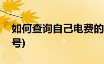 如何查询自己电费的户号(怎么查自己电费户号)
