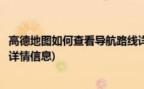 高德地图如何查看导航路线详情(高德地图如何查看导航路线详情信息)