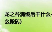 龙之谷满级后干什么-搬砖篇(龙之谷新版本怎么搬砖)