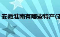 安徽淮南有哪些特产(安徽淮南有什么土特产)