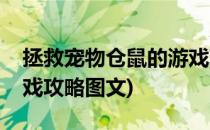 拯救宠物仓鼠的游戏攻略(拯救宠物仓鼠的游戏攻略图文)