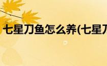 七星刀鱼怎么养(七星刀鱼怎么养及喂养技巧)