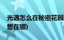 光遇怎么在秘密花园冥想(光遇秘密的花园冥想在哪)
