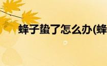 蜂子蛰了怎么办(蜂子蛰了怎么办偏方)