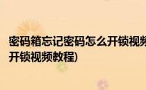 密码箱忘记密码怎么开锁视频教程(高级密码箱忘记密码怎么开锁视频教程)