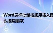Word怎样批量按顺序插入图片(批量粘贴图片到Word 里怎么按照顺序)