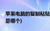 苹果电脑的复制粘贴(苹果电脑的复制粘贴键是哪个)