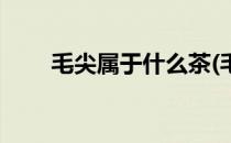 毛尖属于什么茶(毛尖属于什么茶类)