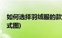 如何选择羽绒服的款式(如何选择羽绒服的款式图)