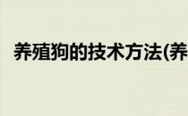 养殖狗的技术方法(养殖狗的技术方法视频)