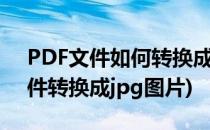 PDF文件如何转换成JPG图片(如何将pdf文件转换成jpg图片)