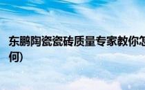 东鹏陶瓷瓷砖质量专家教你怎样选择瓷砖(东鹏瓷砖的质量如何)
