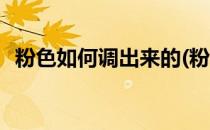 粉色如何调出来的(粉色如何调出来的图片)