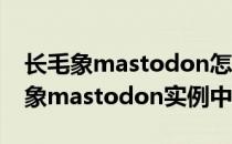 长毛象mastodon怎么玩实例怎么选择(长毛象mastodon实例中文)