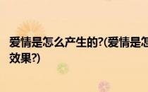 爱情是怎么产生的?(爱情是怎么产生的?荷尔蒙会产生怎样的效果?)