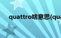 quattro啥意思(quattro啥意思语壁虎)