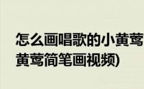 怎么画唱歌的小黄莺简笔画(怎么画唱歌的小黄莺简笔画视频)