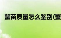 蟹苗质量怎么鉴别(蟹苗质量怎么鉴别真假)
