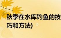 秋季在水库钓鱼的技巧(秋季在水库钓鱼的技巧和方法)