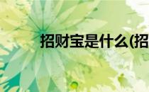 招财宝是什么(招财宝是什么动物)