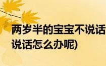 两岁半的宝宝不说话怎么办(两岁半的宝宝不说话怎么办呢)