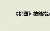 《桃园》技能指点(桃园阵容技能)