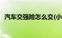 汽车交强险怎么交(小型汽车交强险怎么交)