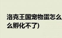 洛克王国宠物蛋怎么孵化(洛克王国宠物蛋怎么孵化不了)