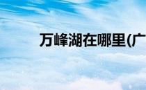 万峰湖在哪里(广西万峰湖在哪里)