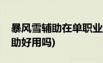 暴风雪辅助在单职业版本如何使用(暴风雪辅助好用吗)