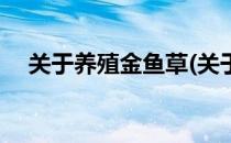 关于养殖金鱼草(关于养殖金鱼草的文章)