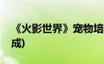 《火影世界》宠物培养诀窍(火影忍者怎么养成)