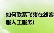 如何联系飞猪在线客服(如何联系飞猪在线客服人工服务)