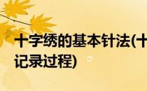 十字绣的基本针法(十字绣的基本针法一 活动记录过程)