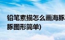 铅笔素描怎么画海豚图形(铅笔素描怎么画海豚图形简单)