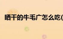 晒干的牛毛广怎么吃(牛毛广干怎么吃最好)