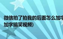 微信拍了拍我的后面怎么加字搞笑(微信拍了拍我的后面怎么加字搞笑视频)