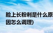 脸上长粉刺是什么原因(脸上长粉刺是什么原因怎么调理)