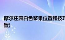 摩尔庄园白色浆果位置和技巧攻略(摩尔庄园白色浆果具体位置)