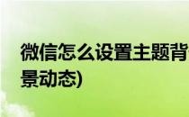 微信怎么设置主题背景(微信怎么设置主题背景动态)