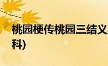 桃园梗传桃园三结义攻略(桃园三结义秒懂百科)